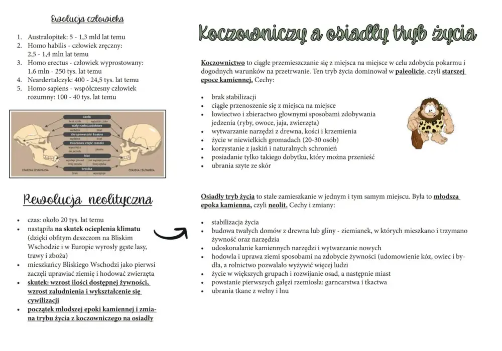 Bajkowe wiedźmy: sekrety, ewolucja i ich prawdziwe znaczenie