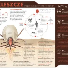 W kleszczach lęku streszczenie: Czy znasz wszystkie sekrety Cobena?