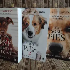 Kim jest autor książki Był sobie pies - poznaj W. Bruce'a Camerona