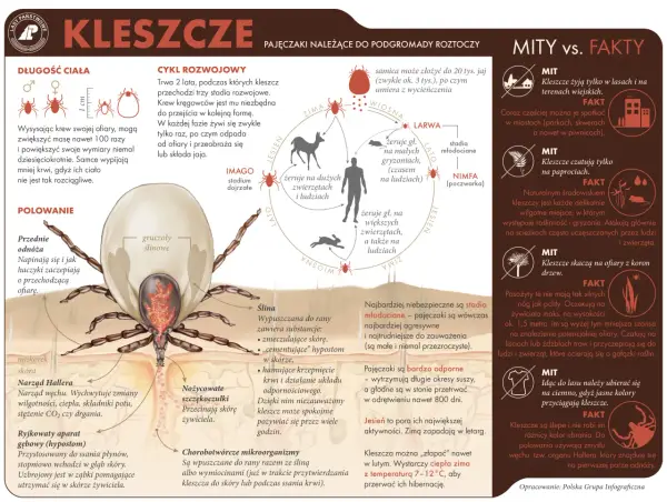 W kleszczach lęku streszczenie: Czy znasz wszystkie sekrety Cobena?