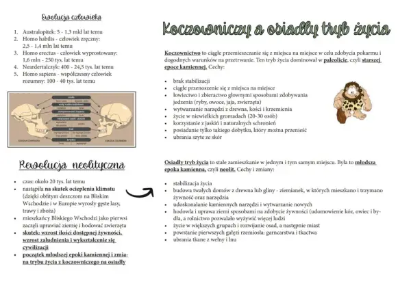 Bajkowe wiedźmy: sekrety, ewolucja i ich prawdziwe znaczenie